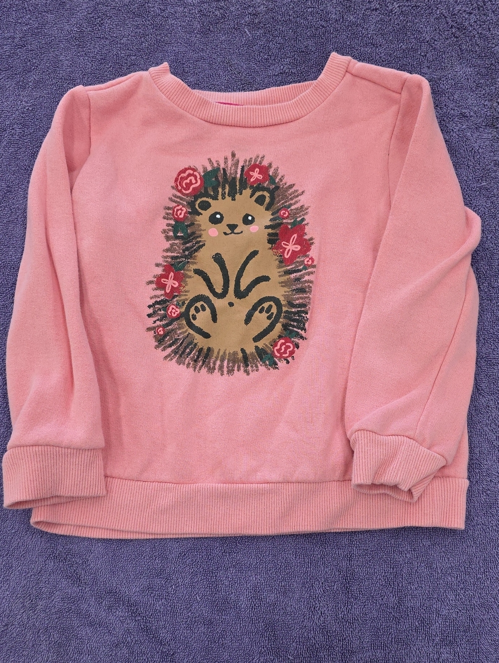 Falls Creek Pink Hedgehog Crewneck Sweatshirt